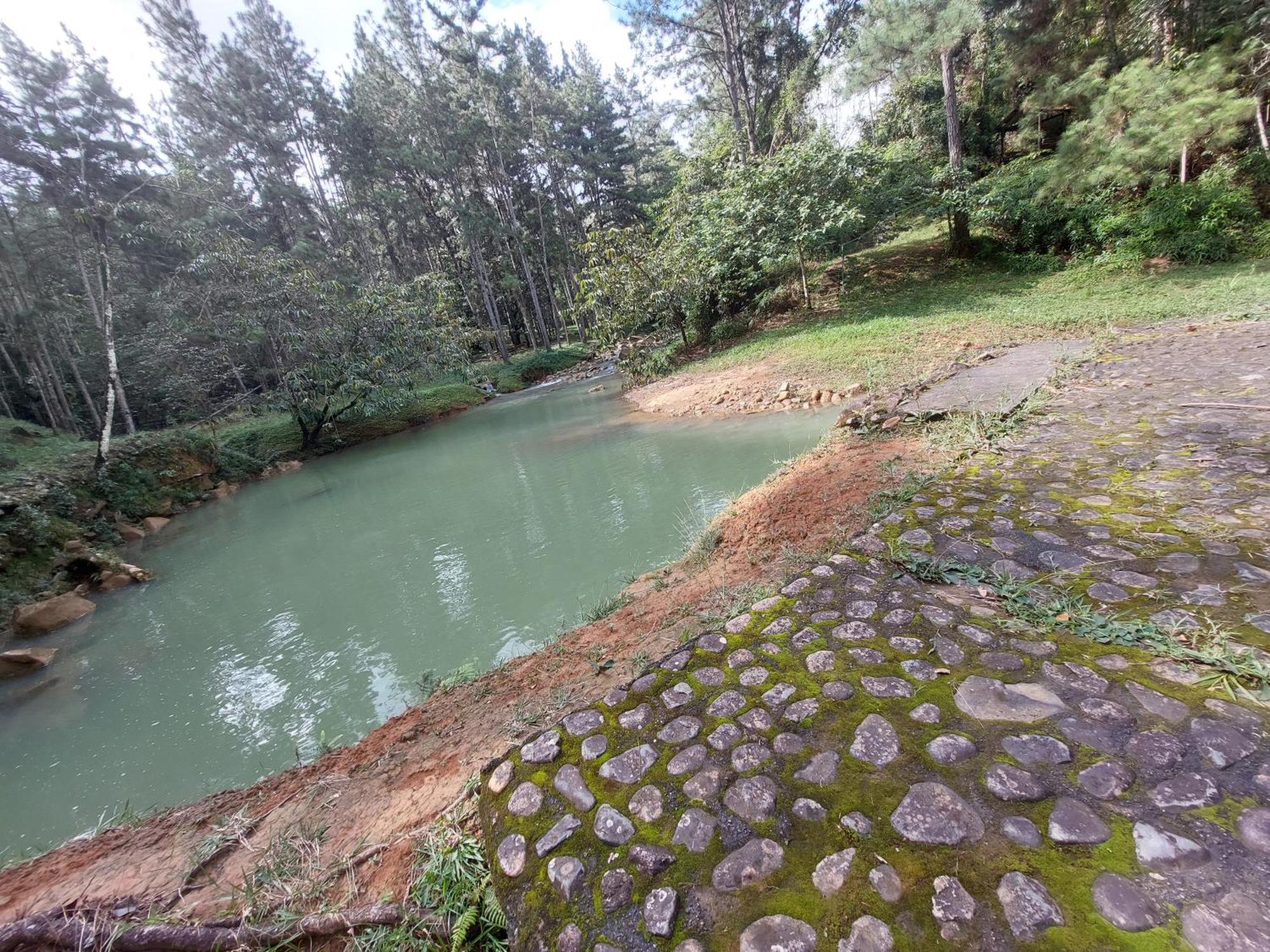 Mandalas Ecolodge Ecotourism Cerro Azul Room photo